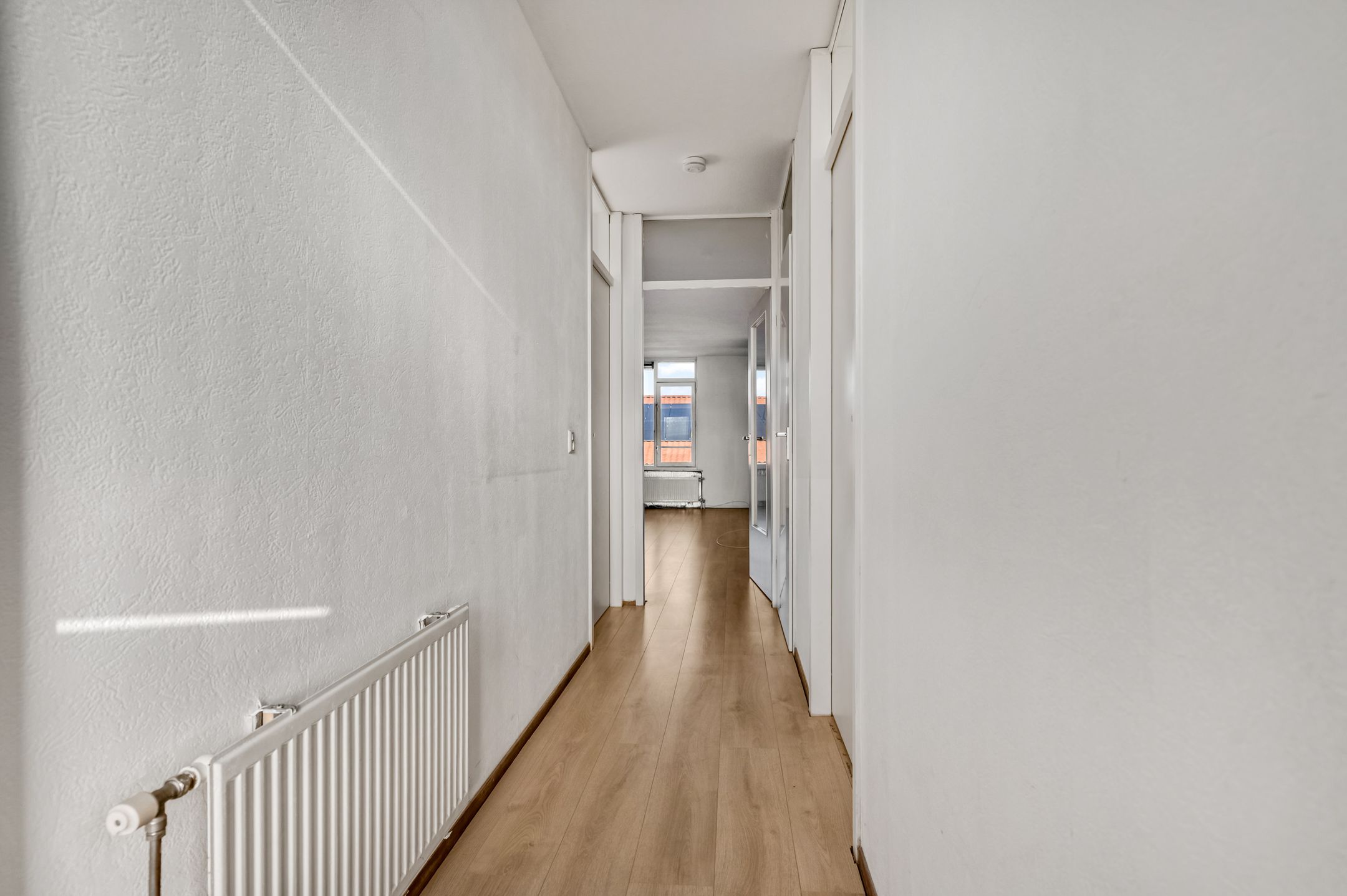 Foto 12 van Luttikenerf 56