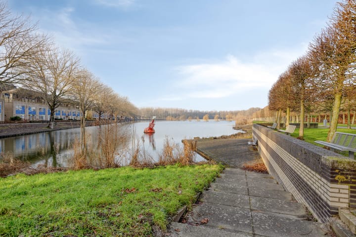 Photo 17 of Florazoom 55