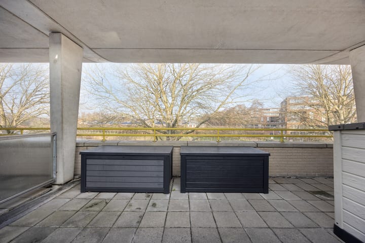 Photo 37 of Florazoom 55