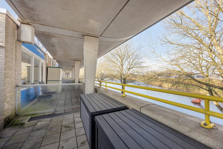 Photo 38 of Florazoom 55