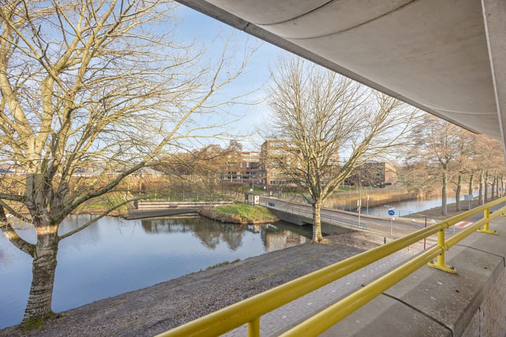 Photo 39 of Florazoom 55