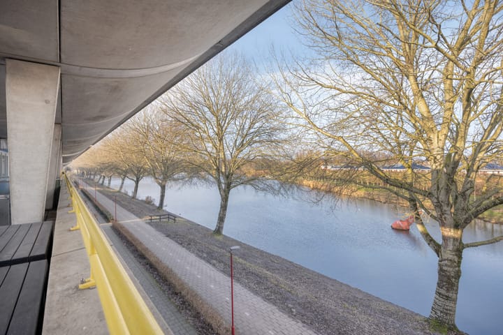 Photo 40 of Florazoom 55