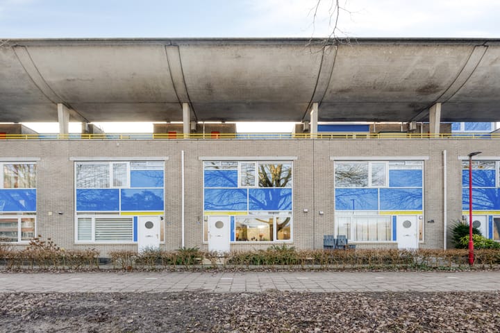 Photo 41 of Florazoom 55