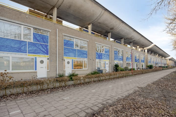 Photo 42 of Florazoom 55