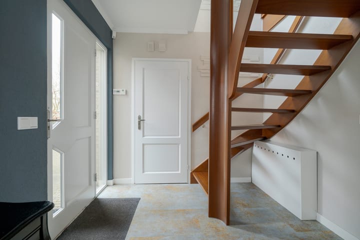 Foto 7 van Weerschijnvlinder 6