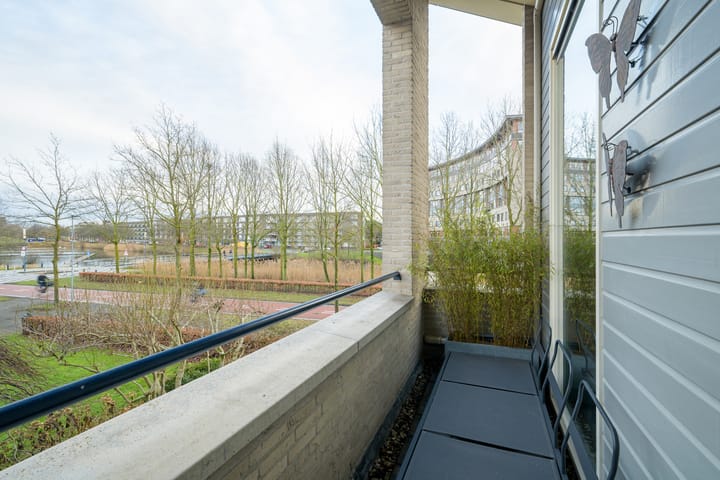 Foto 19 van Weerschijnvlinder 6