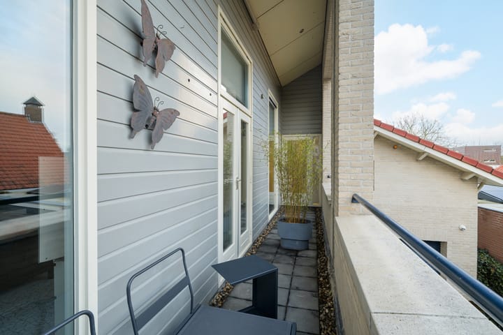 Foto 20 van Weerschijnvlinder 6