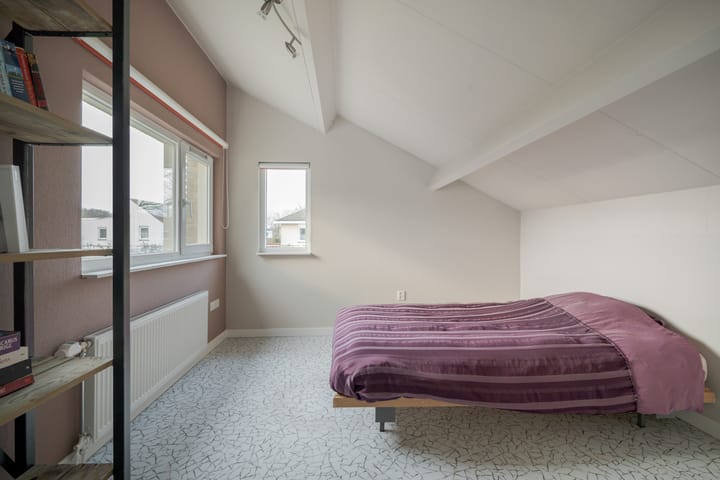 Foto 27 van Weerschijnvlinder 6