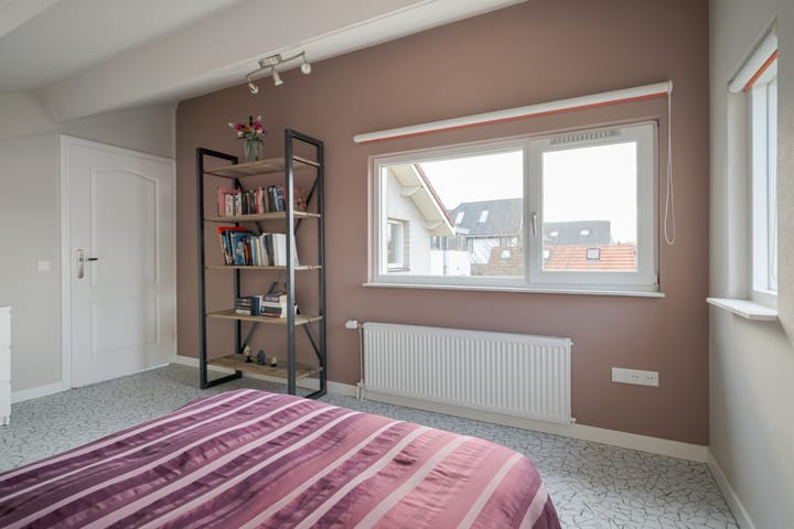 Foto 28 van Weerschijnvlinder 6