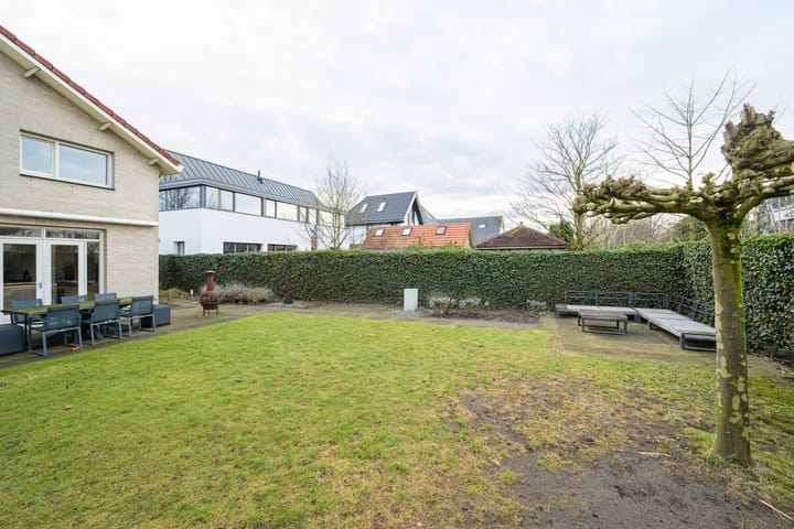 Foto 29 van Weerschijnvlinder 6