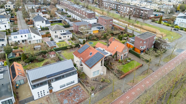 Foto 31 van Weerschijnvlinder 6