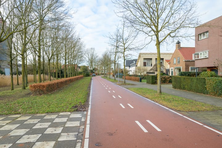 Foto 33 van Weerschijnvlinder 6