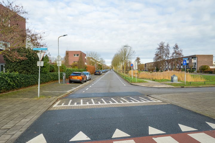 Foto 34 van Weerschijnvlinder 6