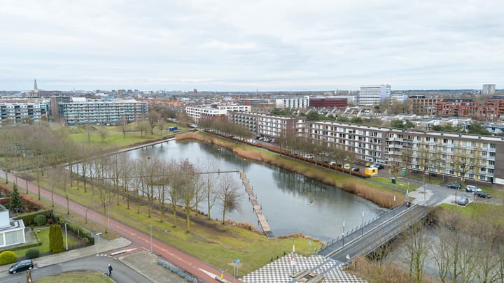 Foto 35 van Weerschijnvlinder 6