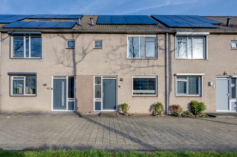 Neerpeltstraat thumbnail