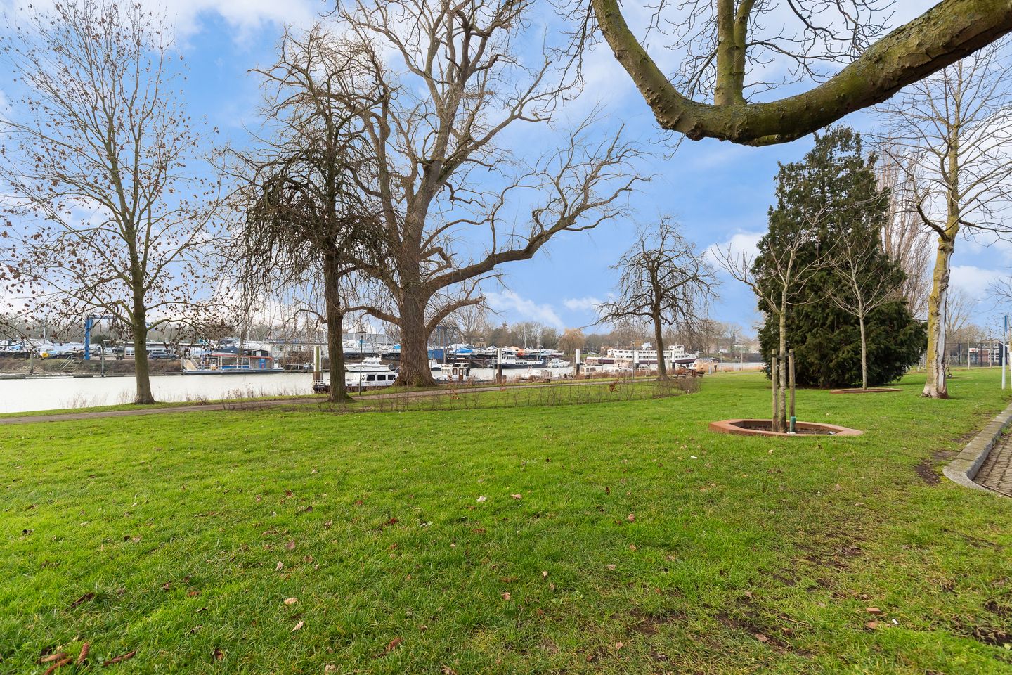 Foto 50 van Rijnstraat 38