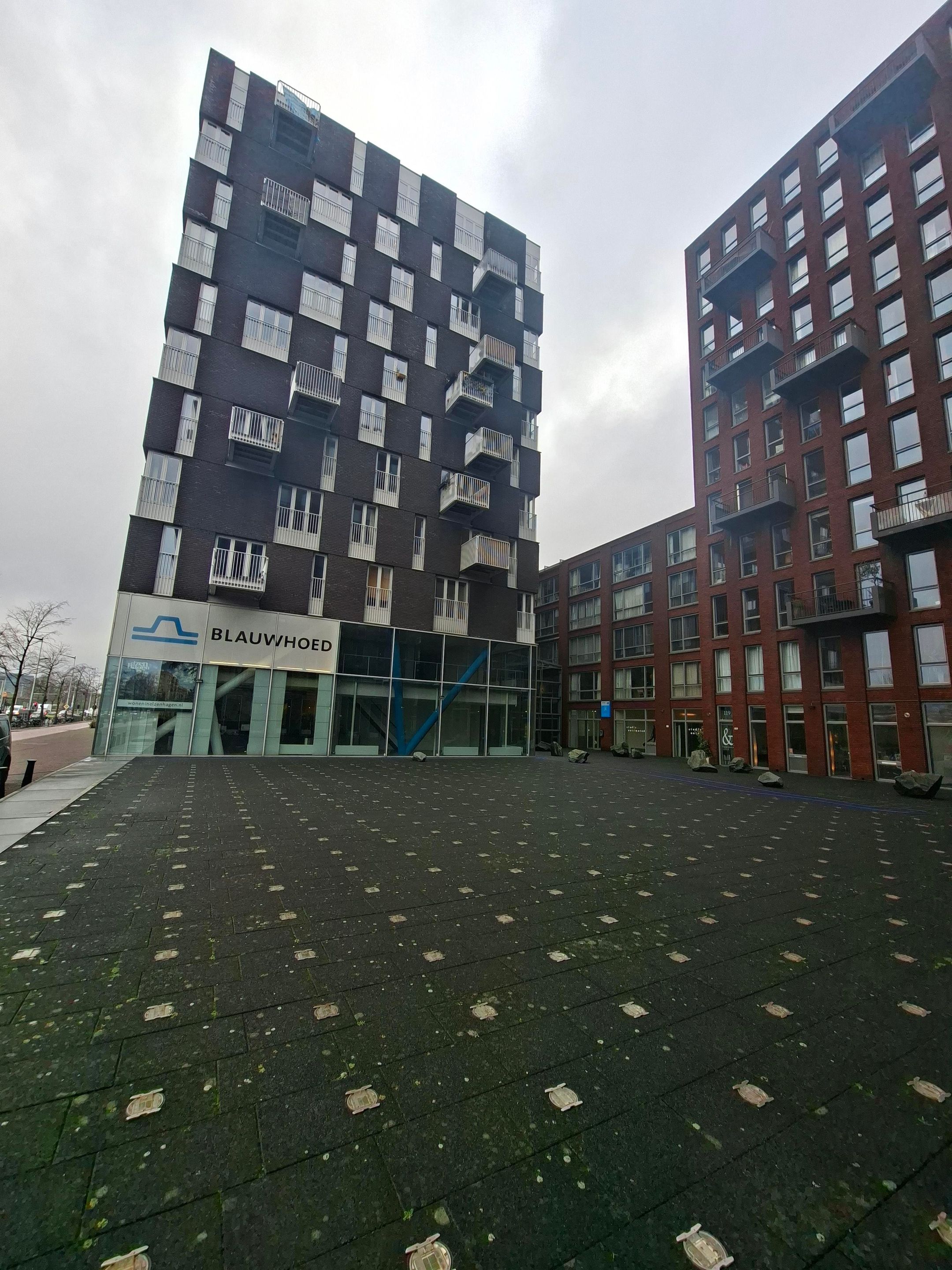 Foto 21 van Veembroederhof 250