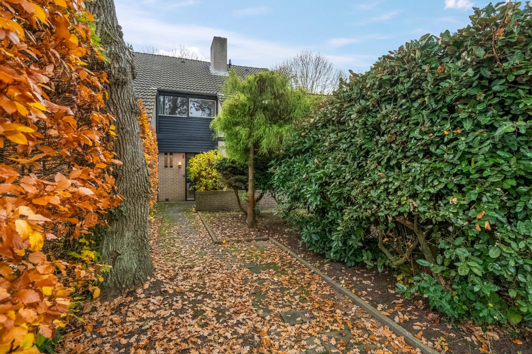 Photo 11 of Ossewei 2