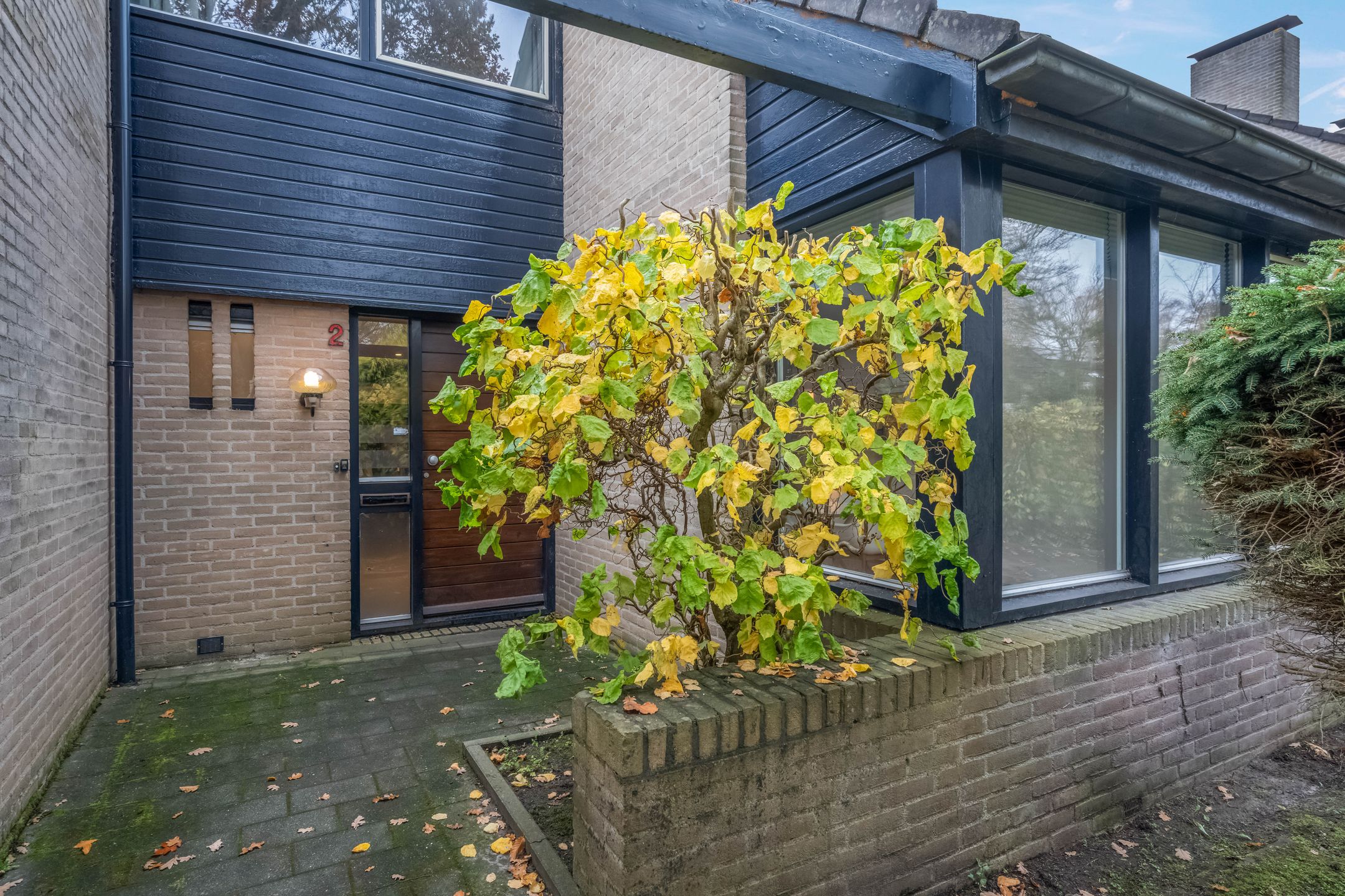 Photo 12 of Ossewei 2