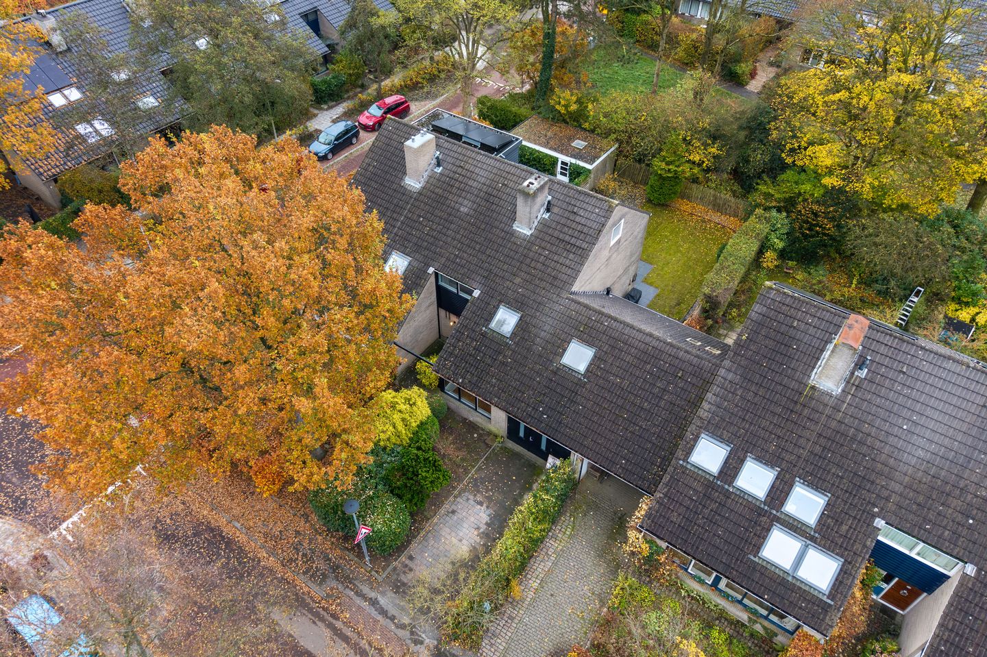 Photo 55 of Ossewei 2