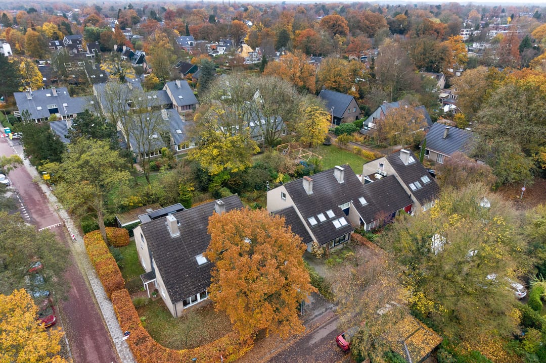 Photo 56 of Ossewei 2