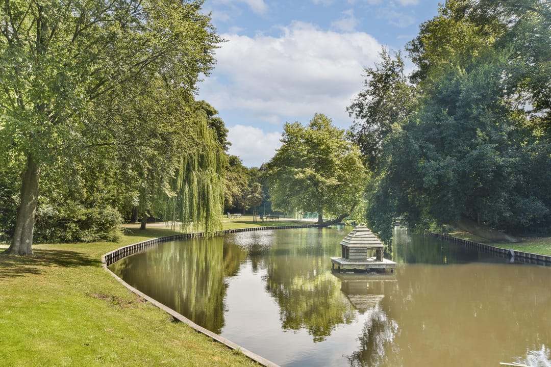 Foto 31 van Essenlaan 11