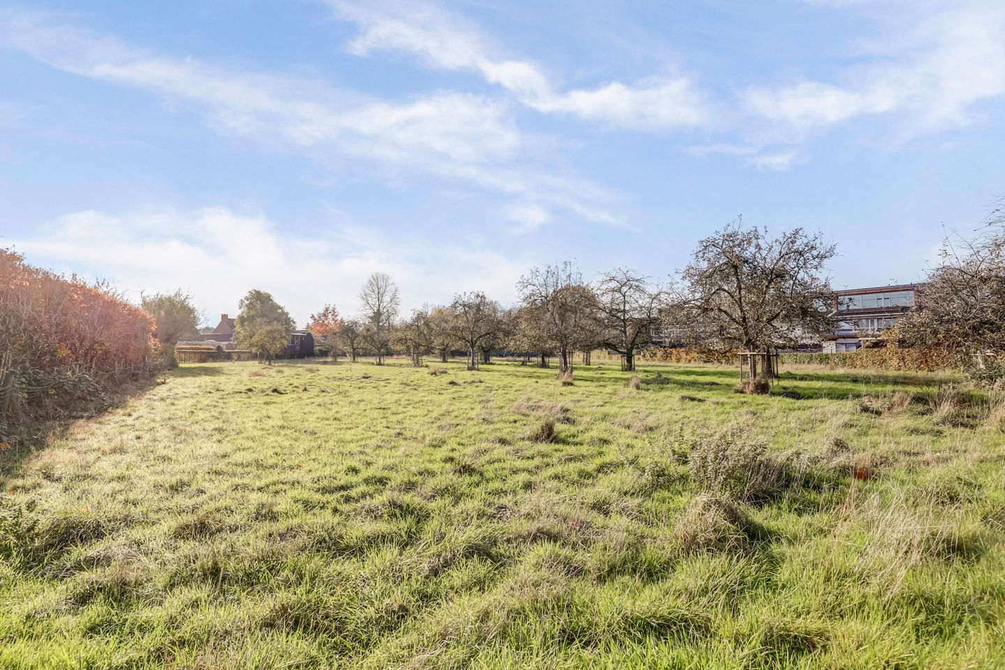 Foto 10 van Bremheuvel 5