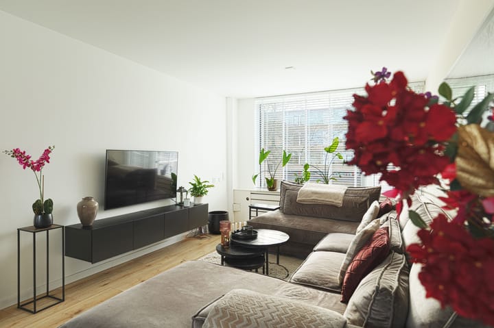 Photo 9 of Van Anrooystraat 387