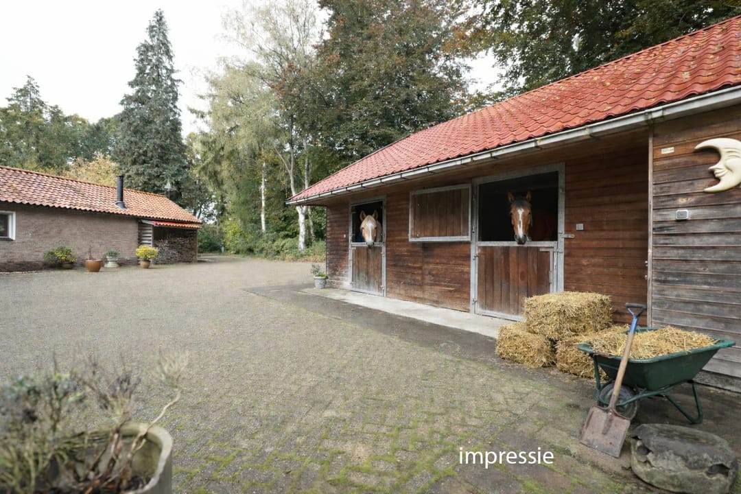 Photo 8 of Domeinenweg 4
