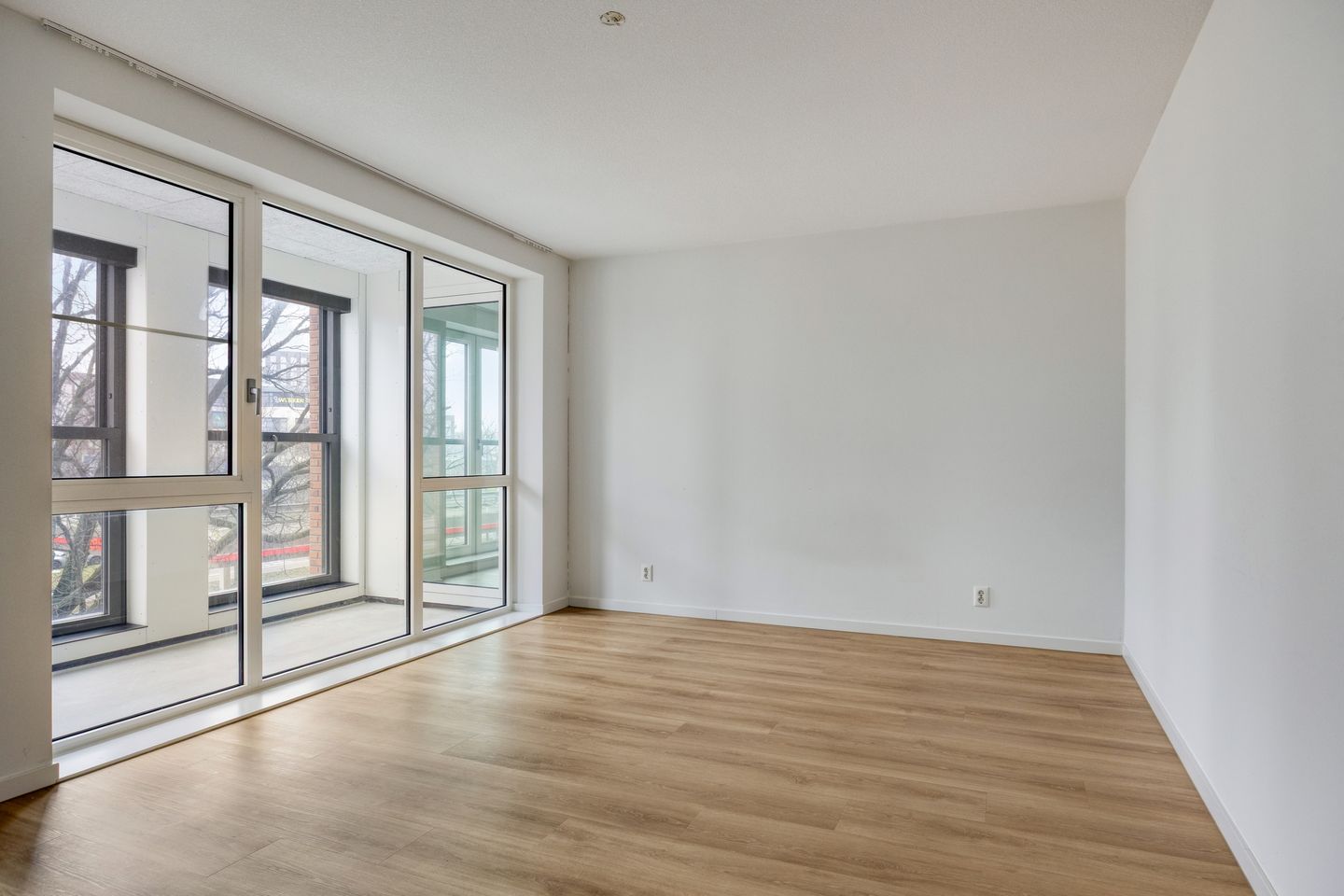 Photo 4 of Mangoweg 175