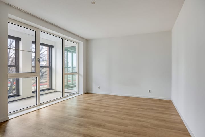 Photo 4 of Mangoweg 175