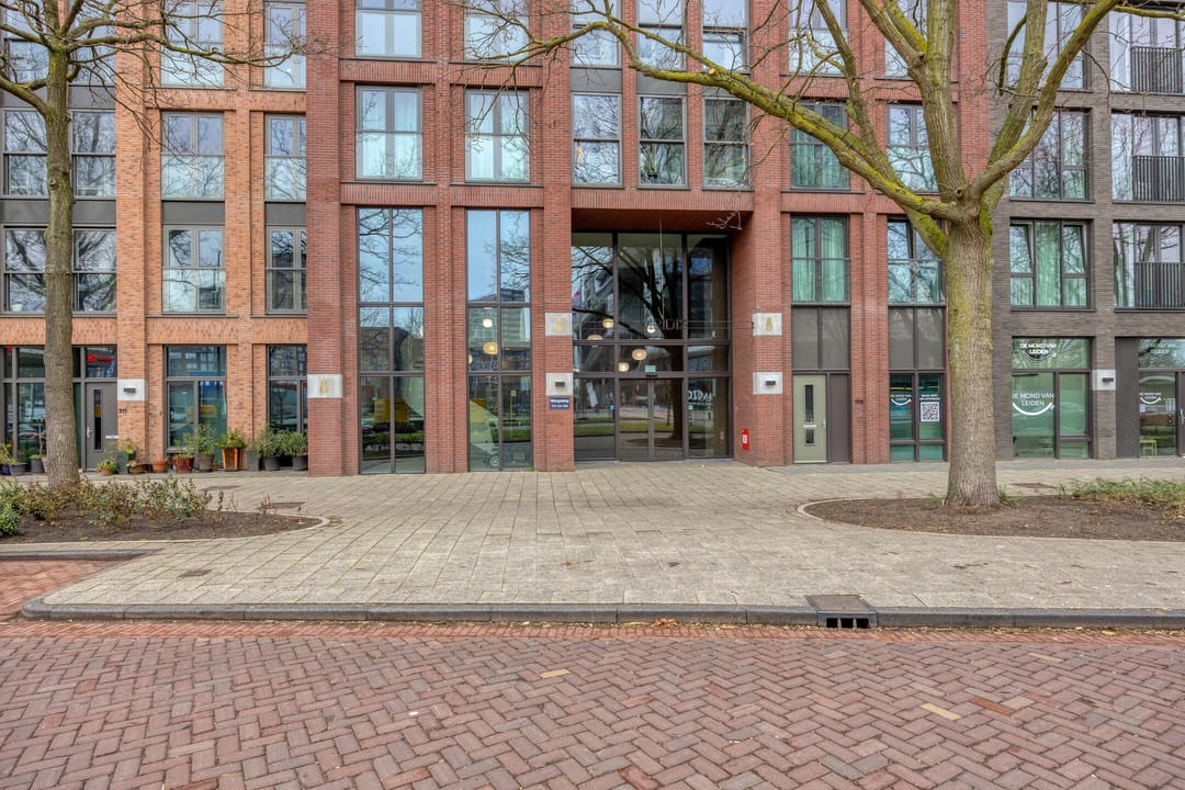 Photo 7 of Mangoweg 175