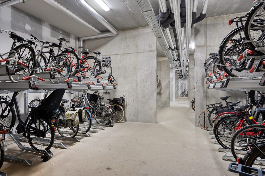 Photo 41 of Mangoweg 175