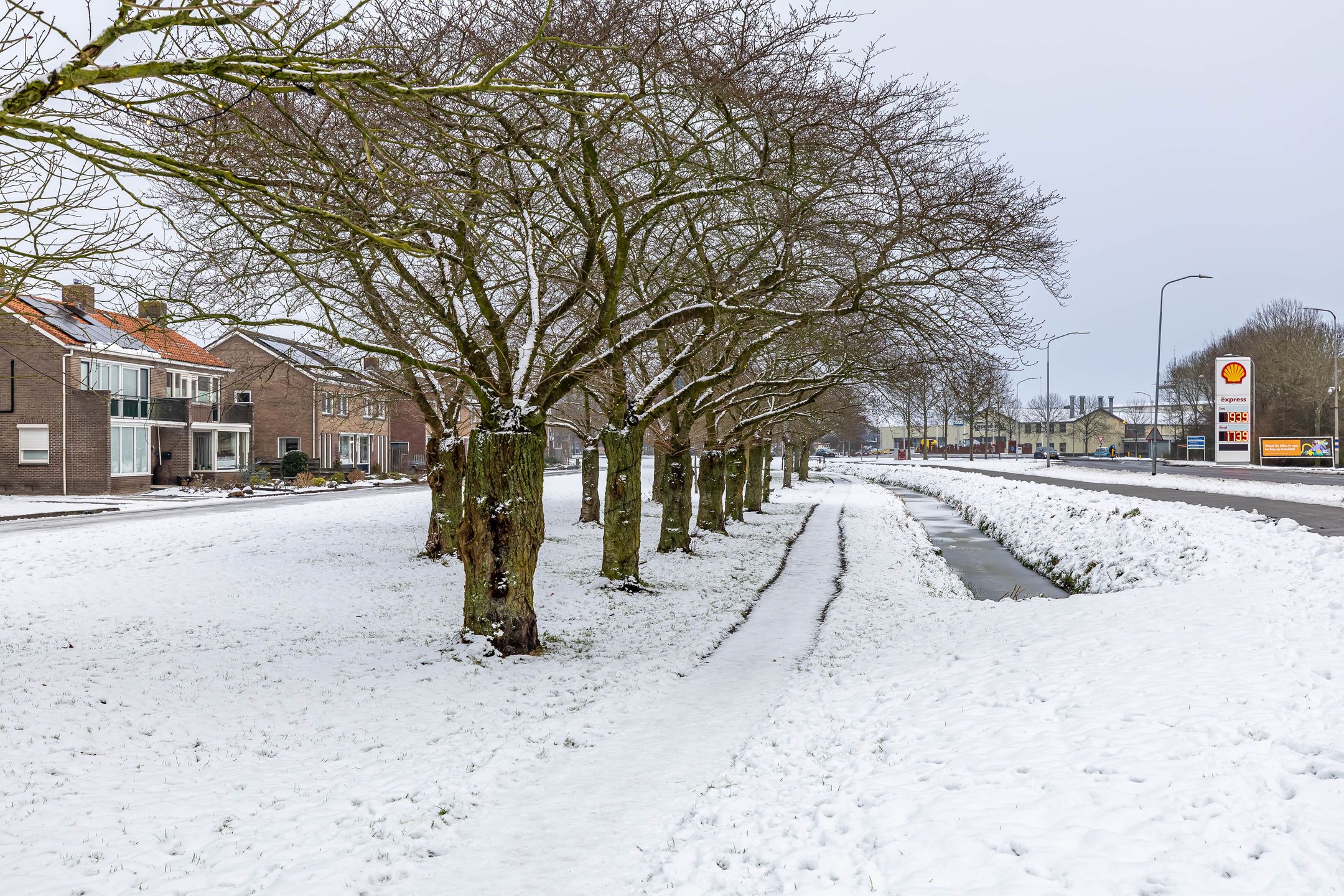 Foto 36 van Meeuwenstraat 32