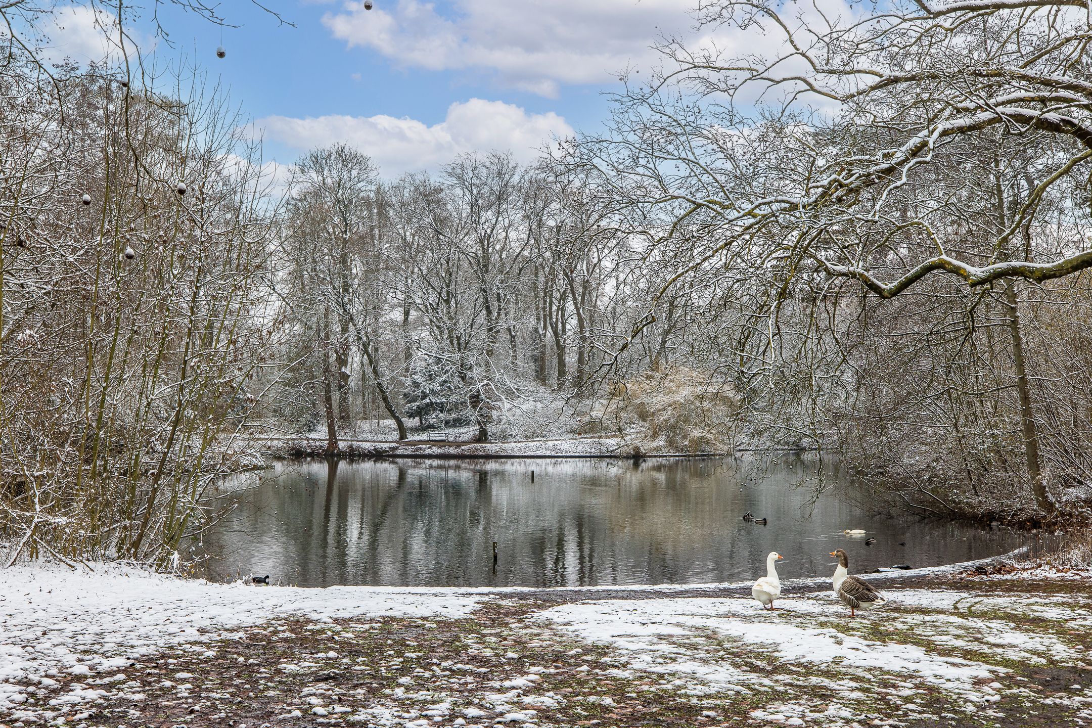 Foto 36 van Amsterdamsestraatweg 433