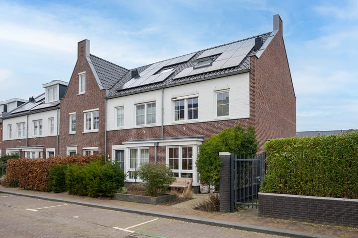 Vliegend Hert 29 main image