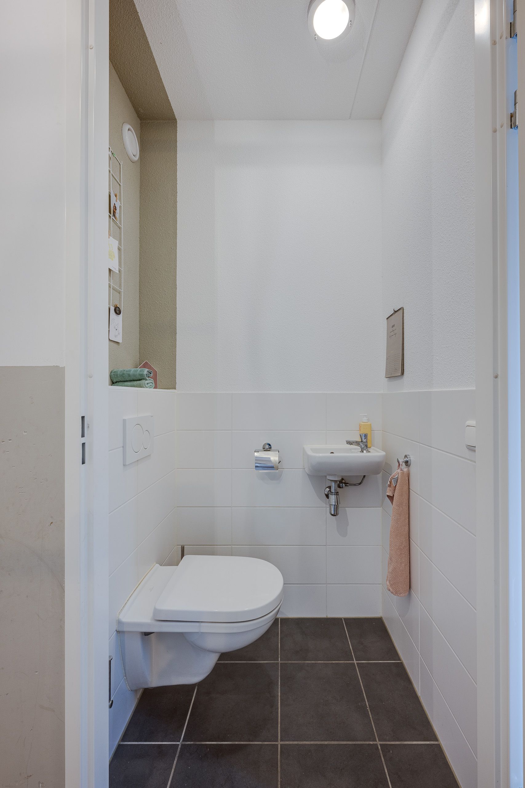 Foto 24 van Vliegend Hert 29