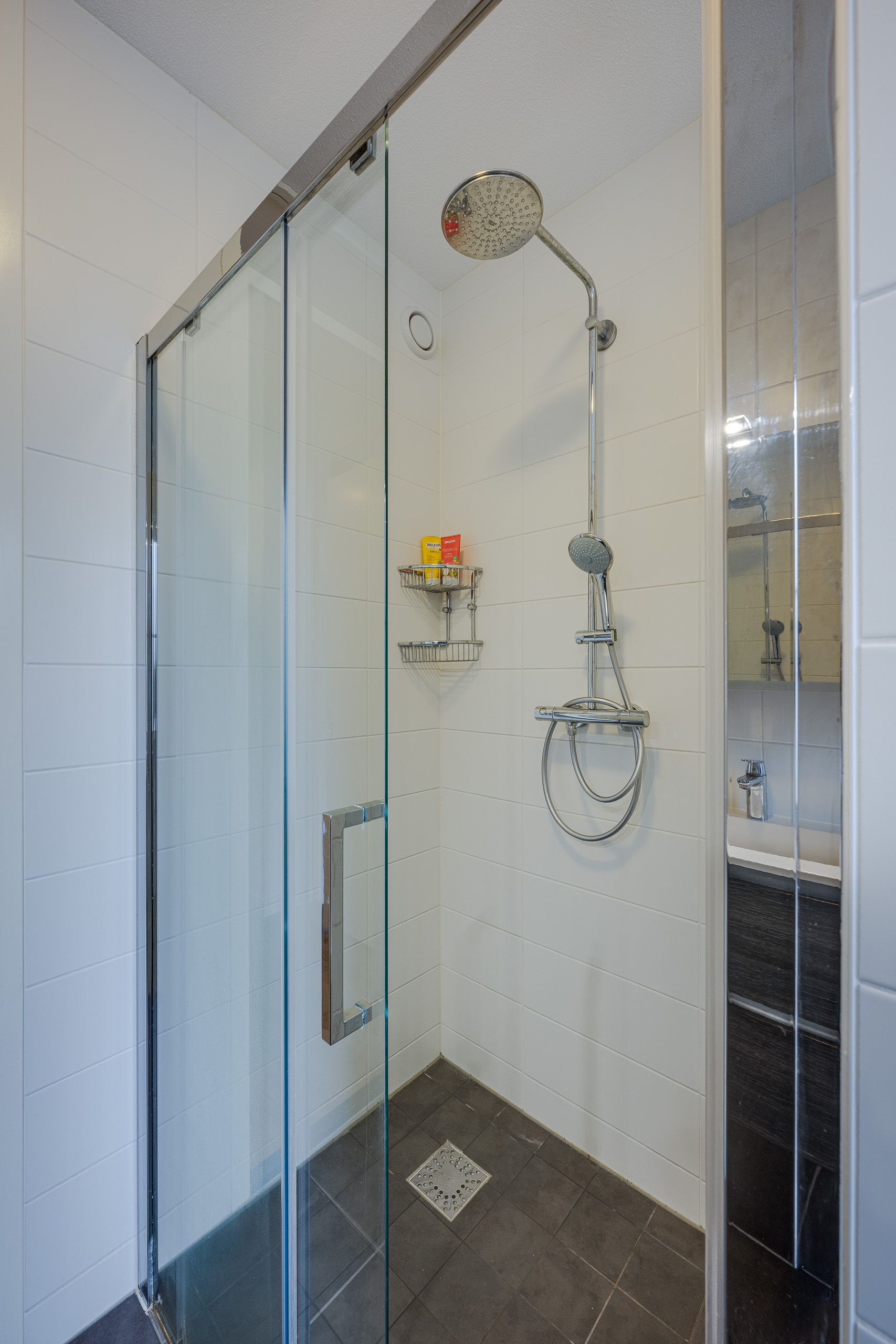 Foto 33 van Vliegend Hert 29