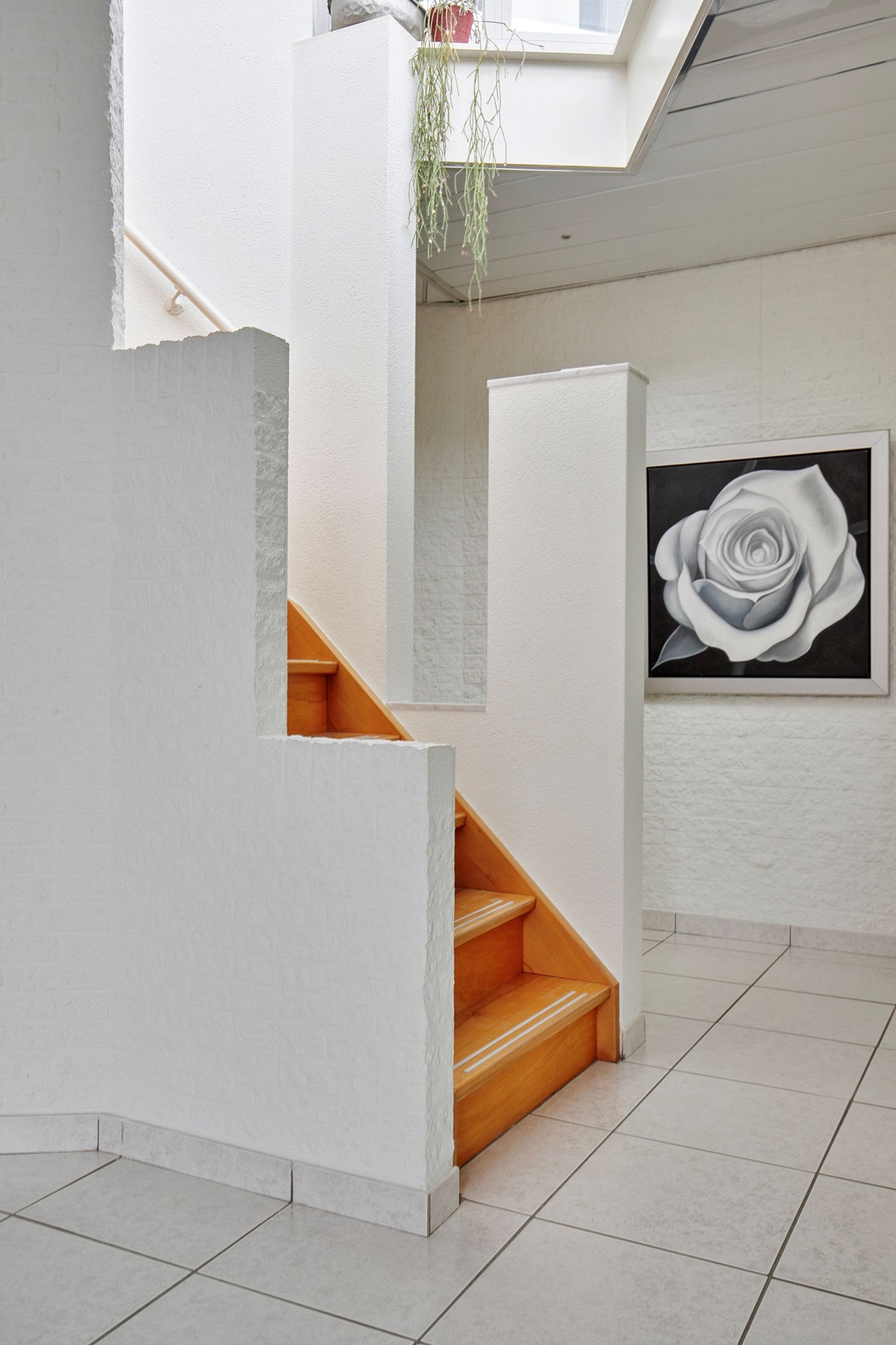 Foto 9 van Sleedoorn 31