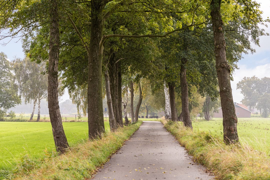 Foto 53 van Bollenweg 9-B