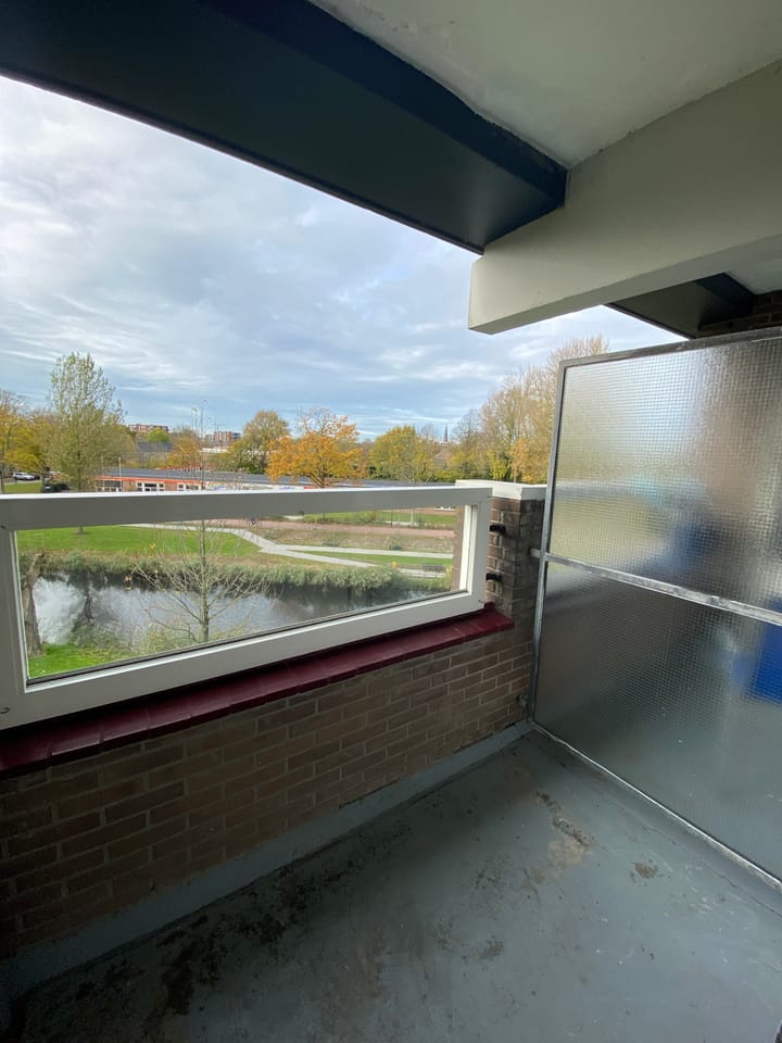 Foto 11 van Tamarixplantsoen 133