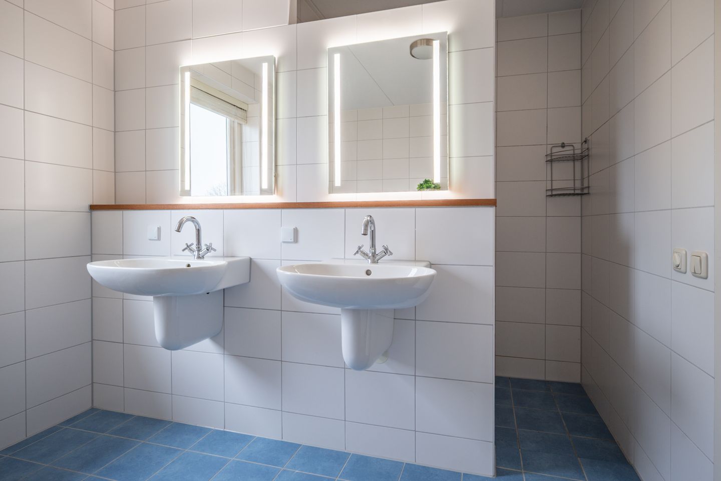 Foto 29 van Oudelandselaan 259