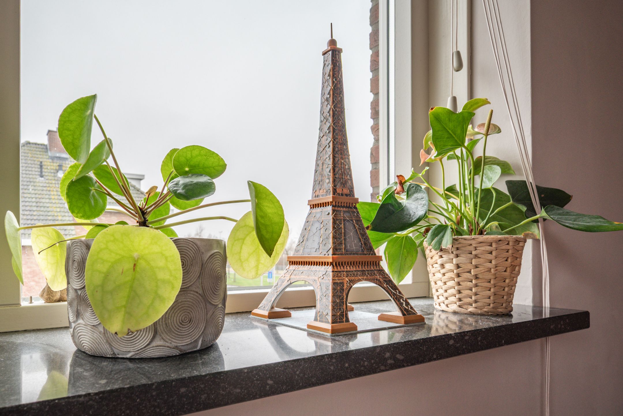 Foto 33 van Oudelandselaan 259