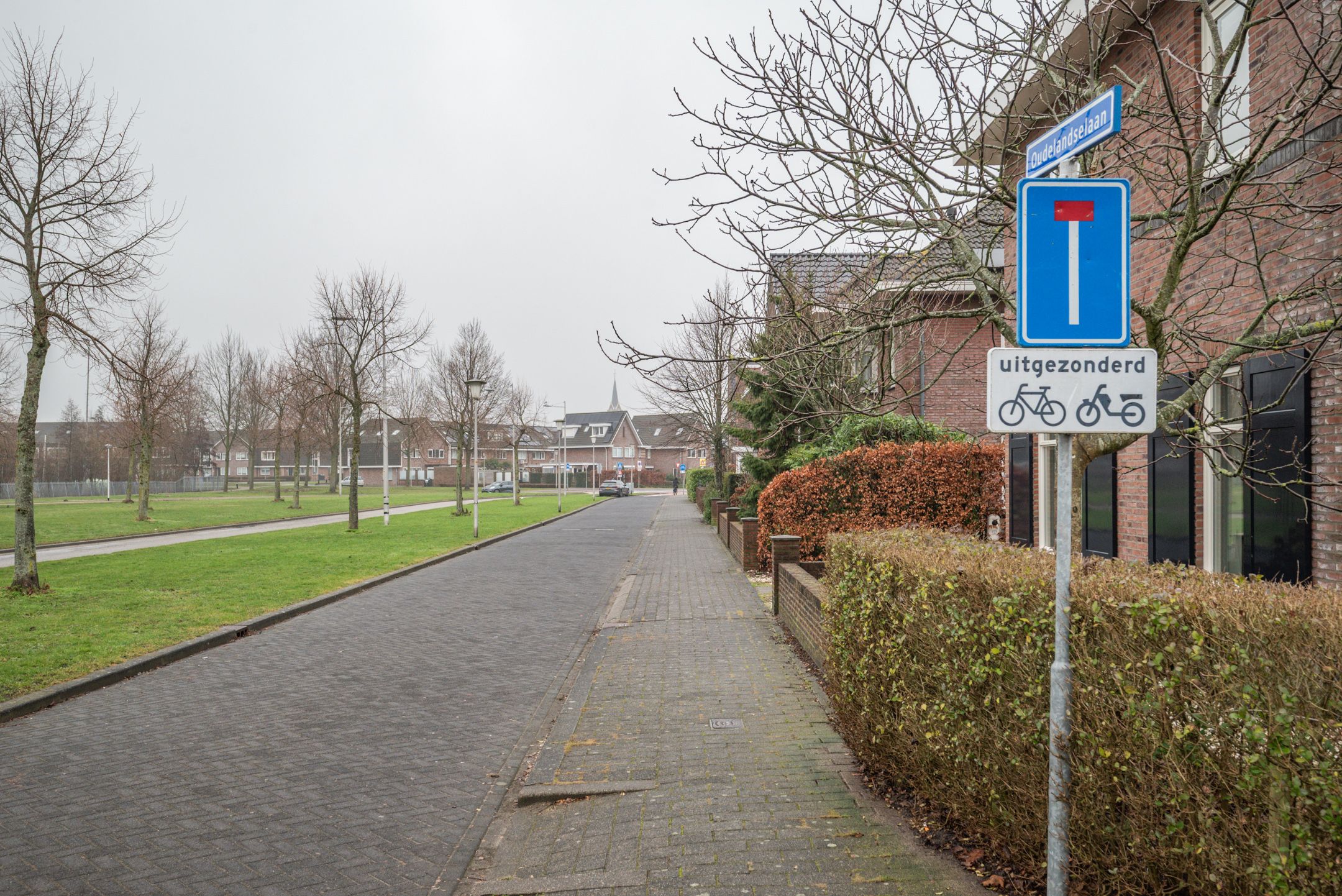 Foto 57 van Oudelandselaan 259