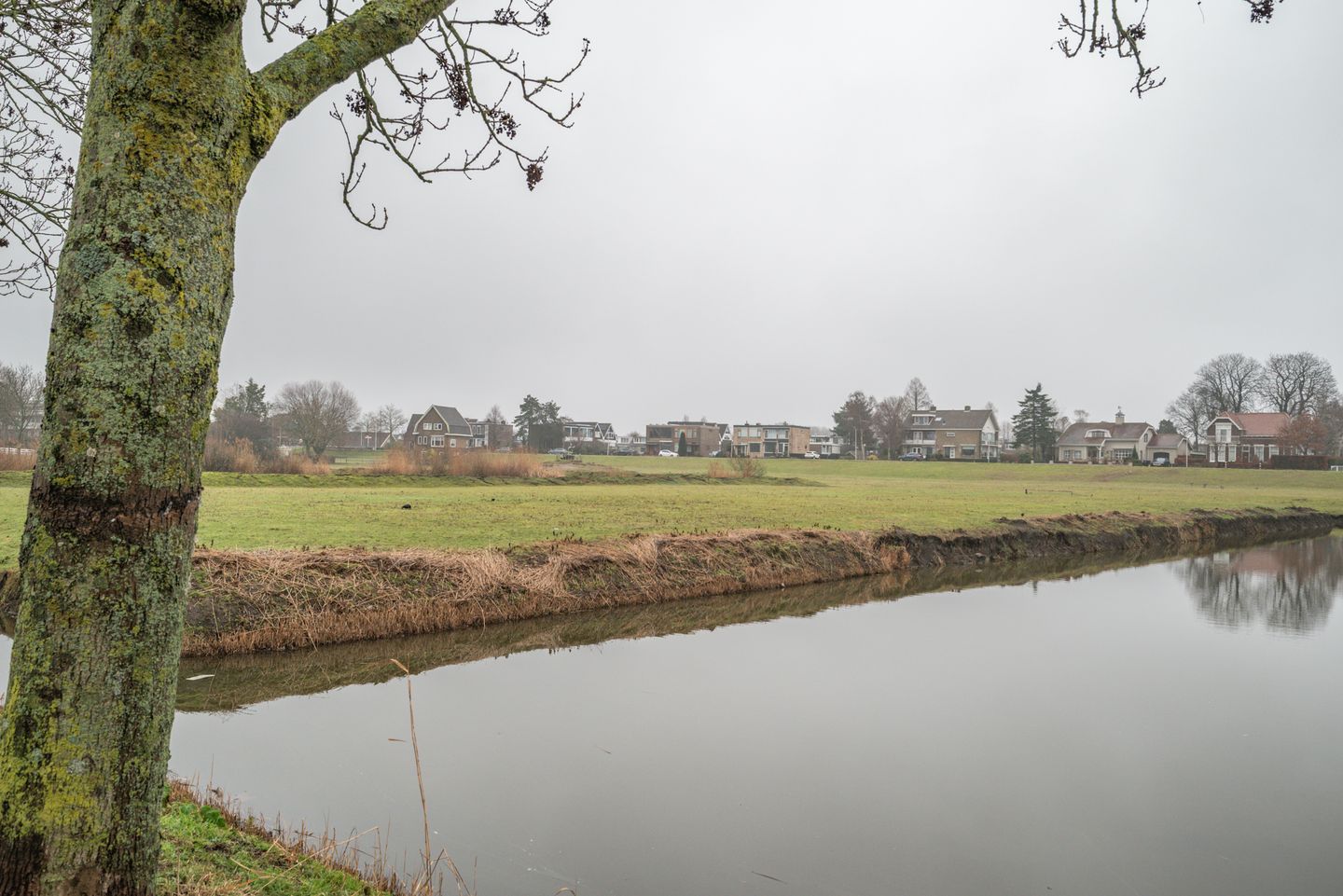 Foto 59 van Oudelandselaan 259