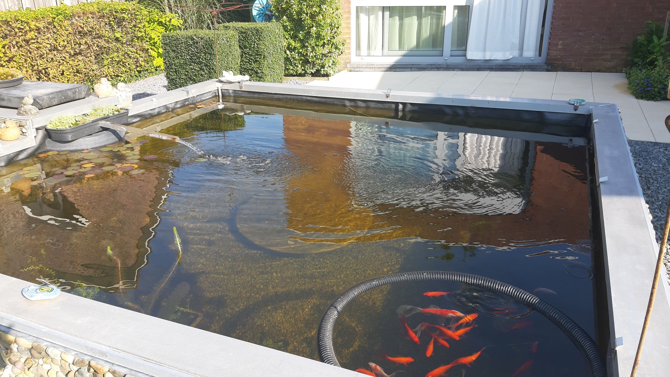 Photo 48 of Houtwal 12