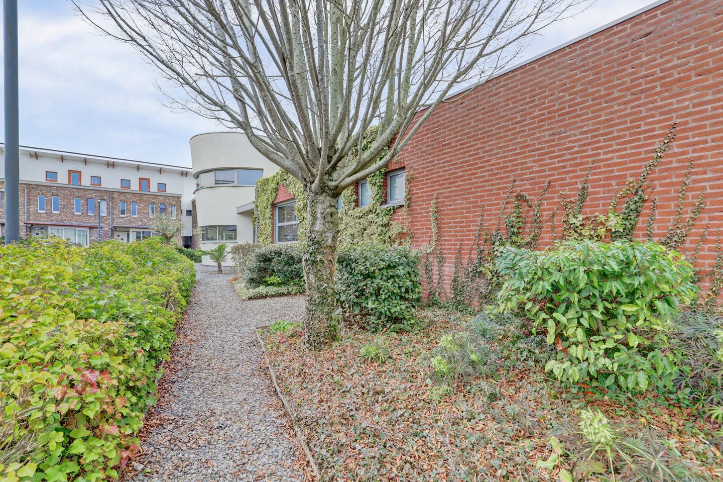 Photo 50 of Houtwal 12