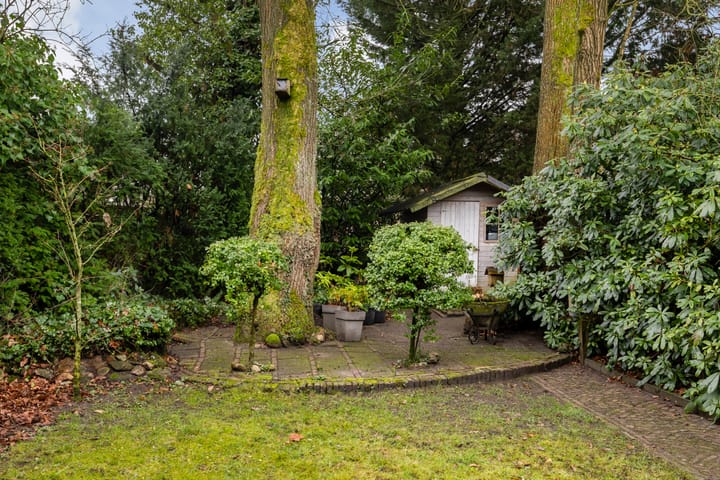 Photo 42 of Plasweg 43