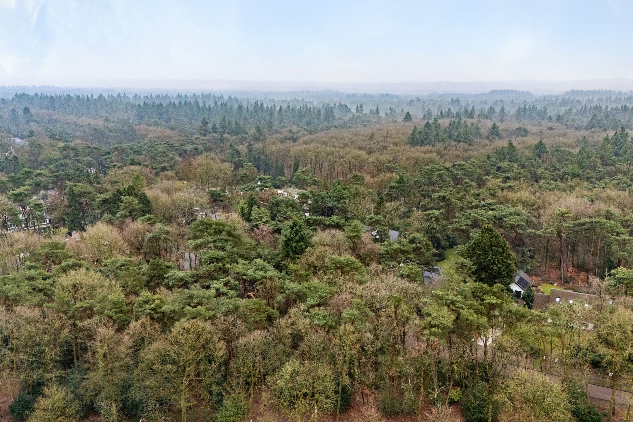 Foto 48 van Plasweg 43