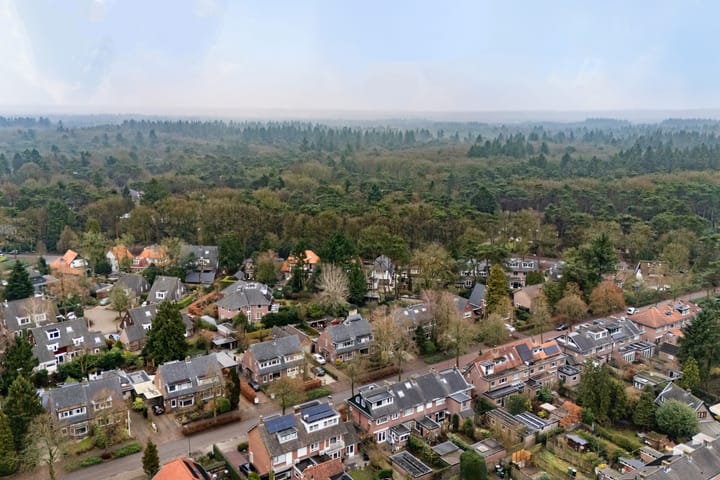 Photo 49 of Plasweg 43